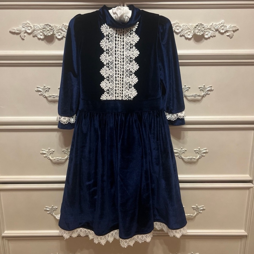 Trish Scully Rowan Velvet Dress 4